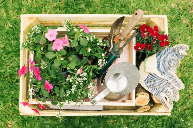 Metallic pitcher near flowers and garden equipment in wooden box