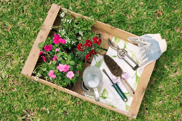 Metallic pitcher near flowers and garden equipment in wooden container