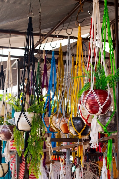 Mexican culture with plants hanging