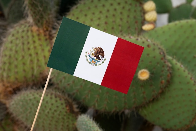 Mexican flag and cactus arrangement