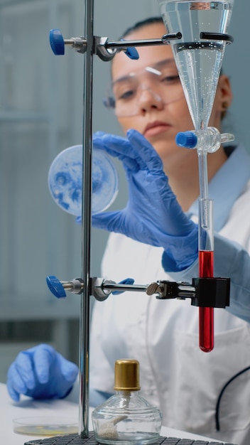 Free photo microbiology woman studying petri dish in laboratory