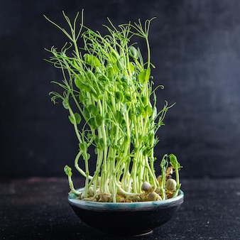 マイクログリーングリーンピースの苗の食事スナックコピースペース食品の背景