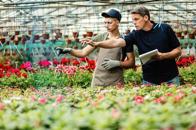 Mid adult manager communicating with young worker and pointing at grown flowers while working in a garden center