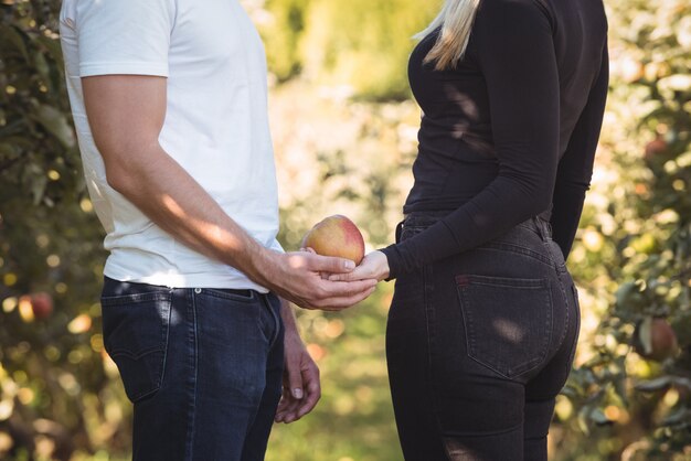 Средняя часть пары, держащей яблоко в яблоневом саду