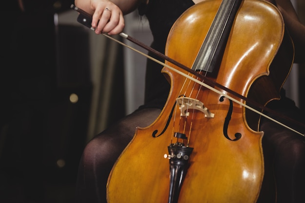 Free photo mid-section of female student playing double bass