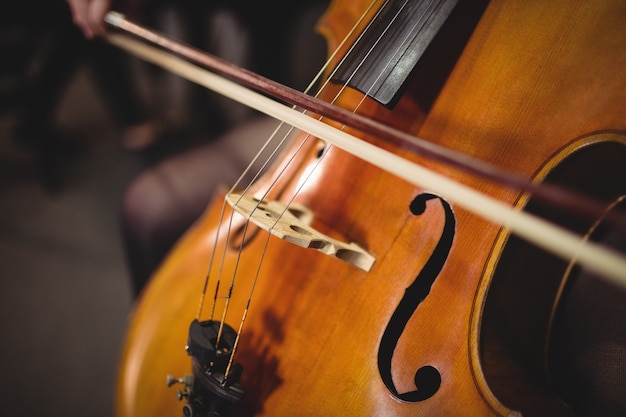 Mid-section of female student playing double bass