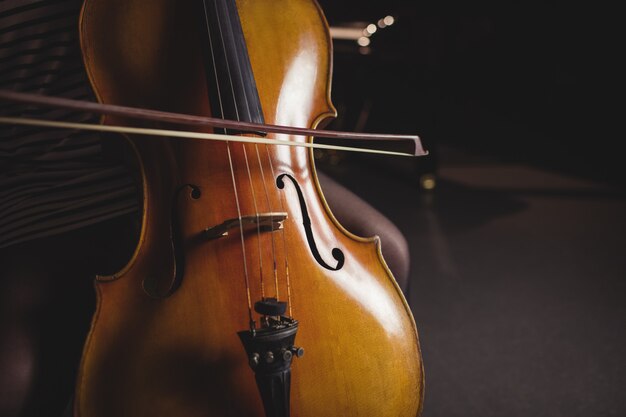 Mid-section of female student playing double bass