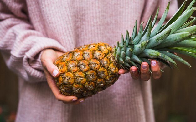 Mid section of a person holding whole pineapple