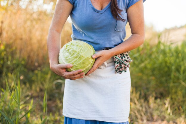 Середина участка женщины, собирающей собранную капусту