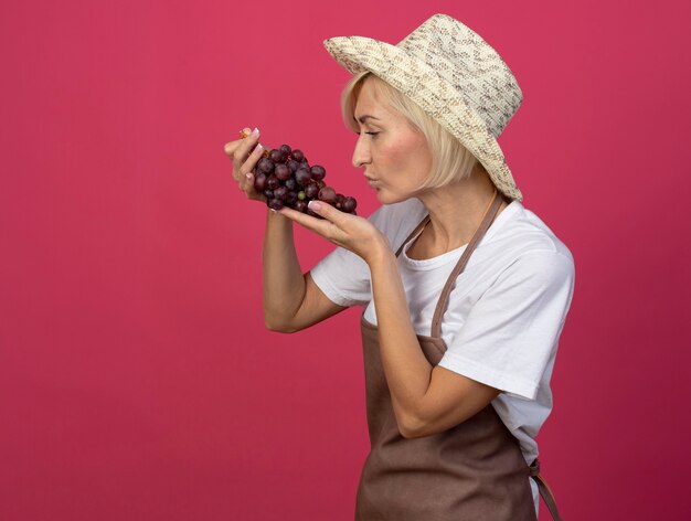 Middle-aged blonde gardener woman in uniform wearing hat standing in profile view holding and looking at bunch of grape doing kiss gesture isolated on crimson wall with copy space