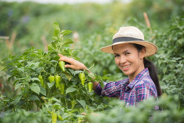 Middle aged woman farmer, with organic chili on hand