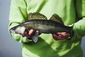 Free photo midsection view of a fisherman's hand holding fresh caught fish