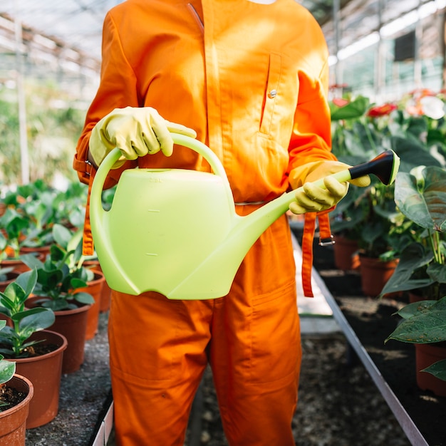 Midsection view of a gardener holding watering can in greenhouse