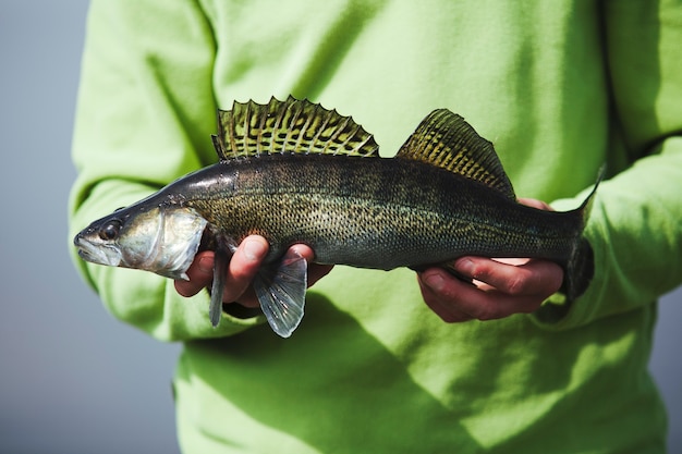Бесплатное фото Вид в средней части руки рыбака, в которой содержится свежая пойманная рыба