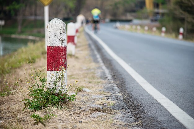 地元の道路の近くにマイルストーン