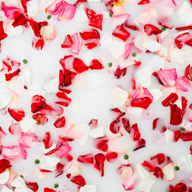 Milk bath decorated with colorful petals