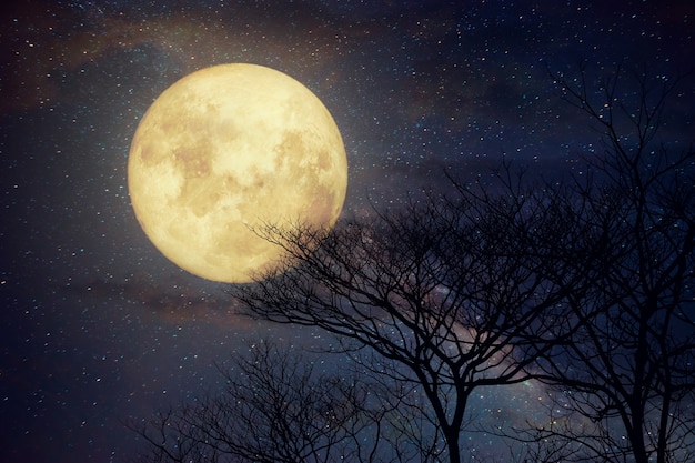 Звезда млечного пути в ночном небе, полная луна и старое дерево - ретро-стиль с оригинальным цветовым тоном (элементы изображения этой луны, предоставленные наса)