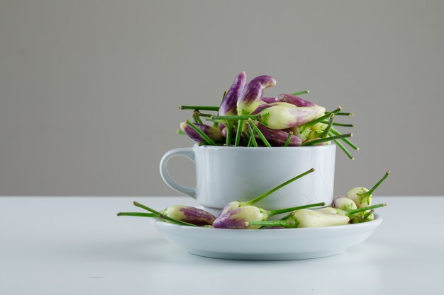 Mini peppers in cup and saucer on white and grey.