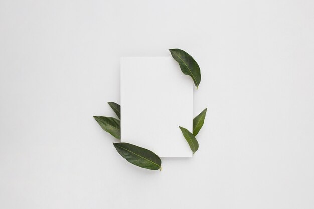 Minimal composition with a blank paper with green leaves, top view