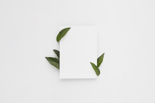 Минимальная композиция с чистым листом бумаги с зелеными листьями