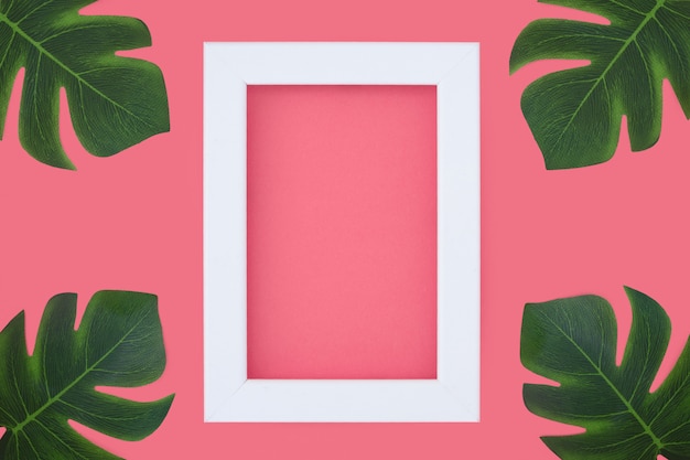 Free photo minimal pink frame with tripical plants