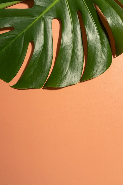 Minimal tropical leaf arrangement