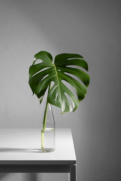 Minimal tropical leaf arrangement