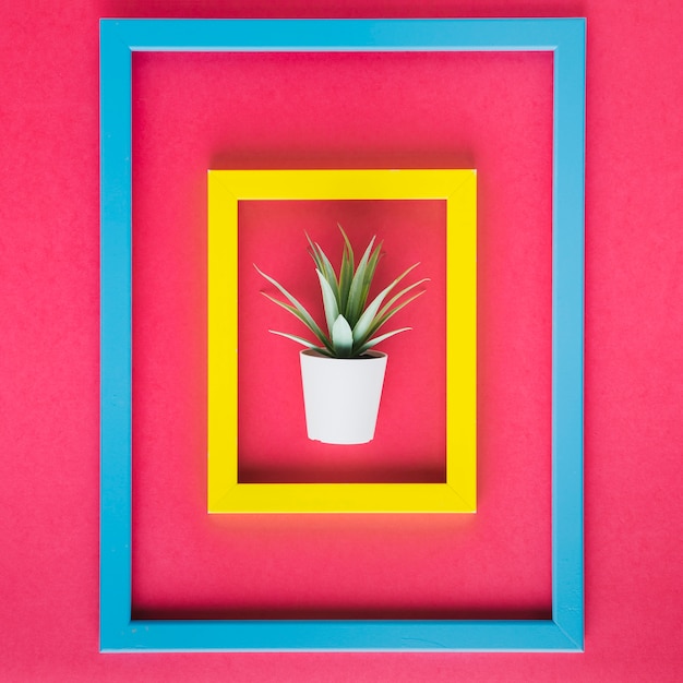 Minimalist arrangement of colorful frames