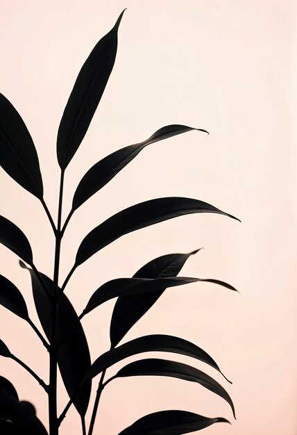 Minimalist background for mobile device