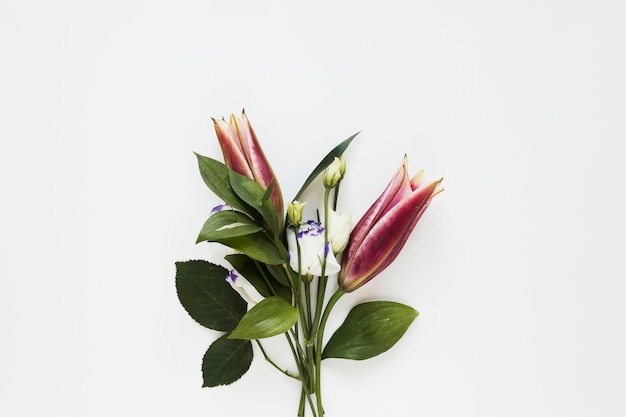 Free photo minimalist bouquet of elegant royal lilies