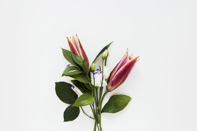 Minimalist bouquet of elegant royal lilies