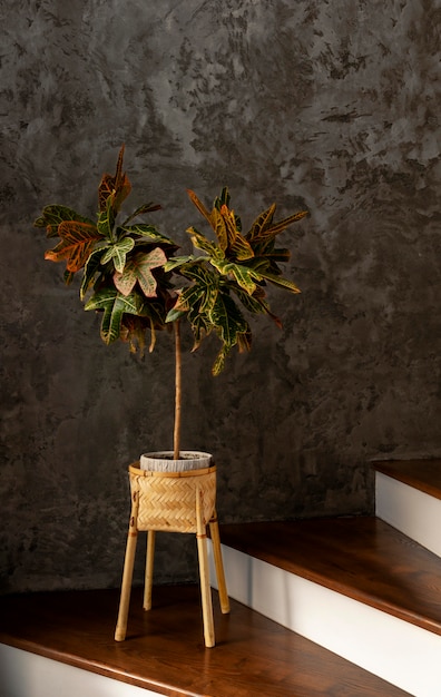 Free photo minimalist interior design with plant on stairs