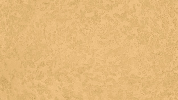 Minimalist monochromatic beige background