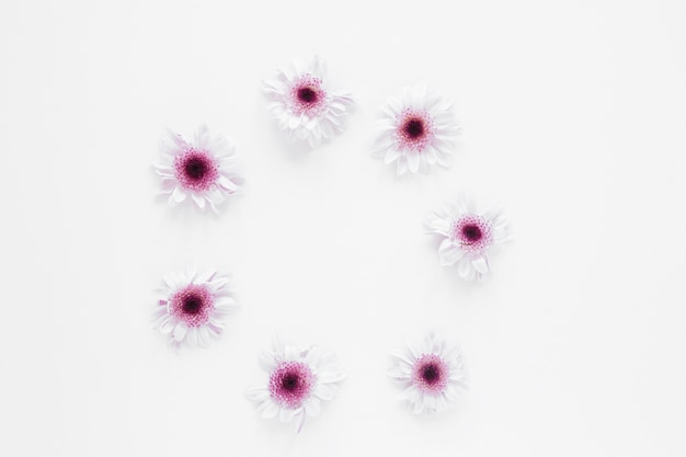 Free photo minimalist spring floral arrangement on white background