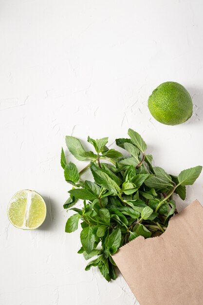 mint branches and slices of lime on white