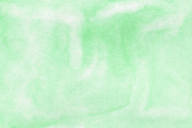 ミントグリーンの背景にモンスターの葉 プレミアム写真