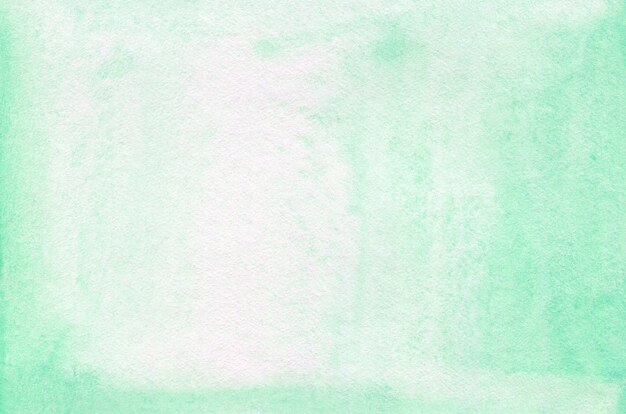 ミントグリーンの背景にモンスターの葉 プレミアム写真