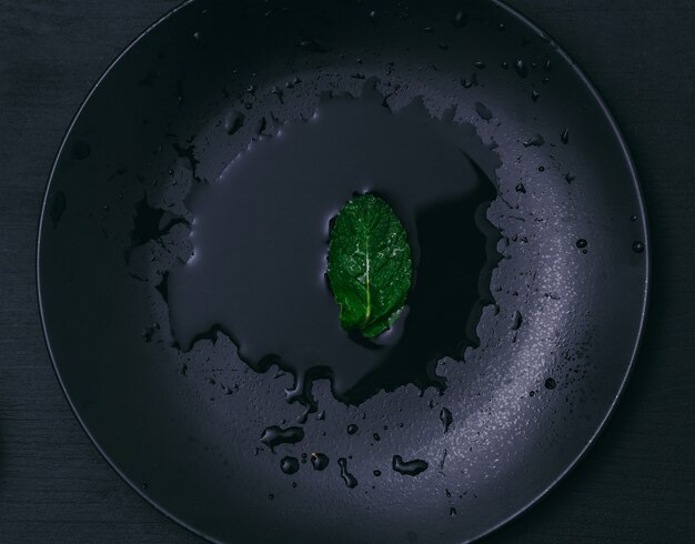 Mint leaf in a glass