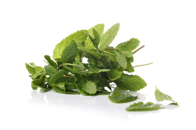 Mint leaves on a white surface