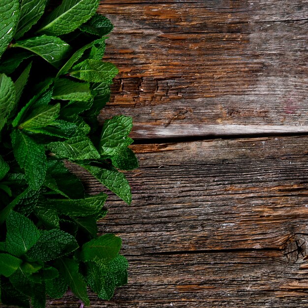 Mint on the table