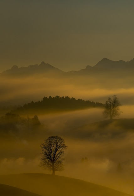 Free photo mist and mountains