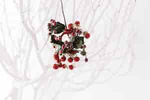 Free photo mistletoe concept