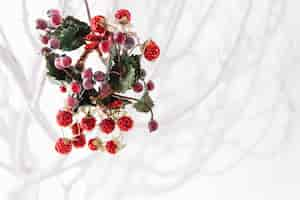 Free photo mistletoe concept