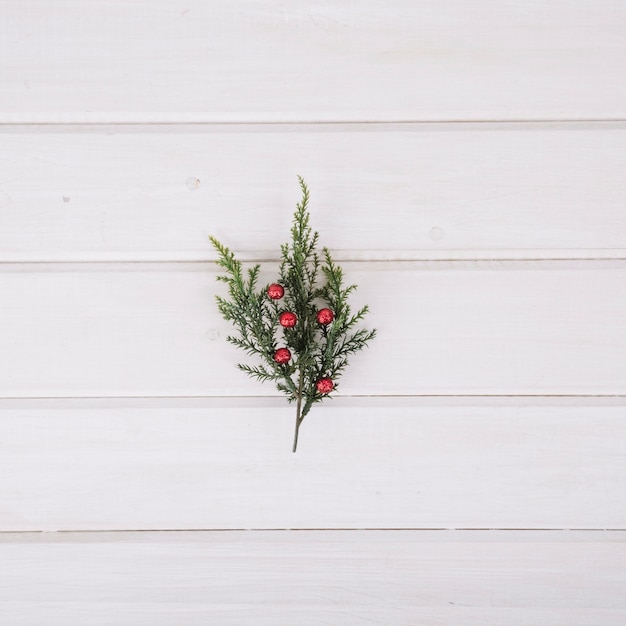 Mistletoe on wooden texture