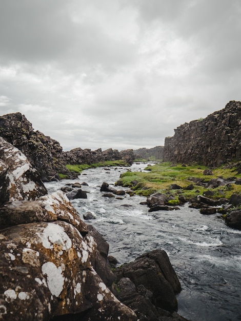 아이슬란드의 안개 낀 강