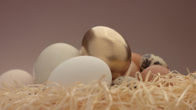 異なる卵と最初の飛行機のクローズアップの黄金の卵のミックス