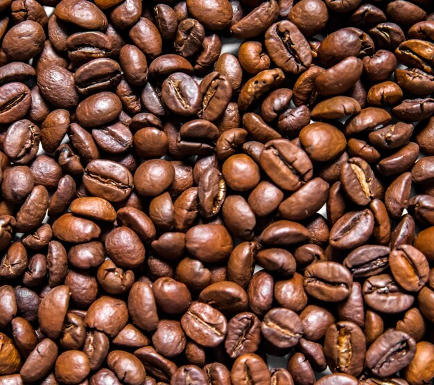 다른 종류의 커피 콩의 혼합물. 커피 배경입니다. 볶은 커피 콩. 흰색 배경에 고립 된 커피 콩