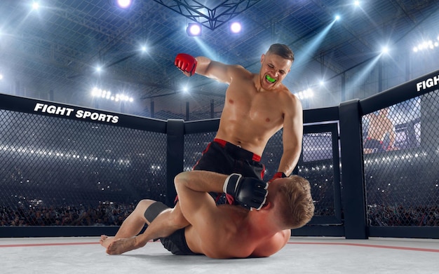 Free photo mma fighters on professional ring fighting championship