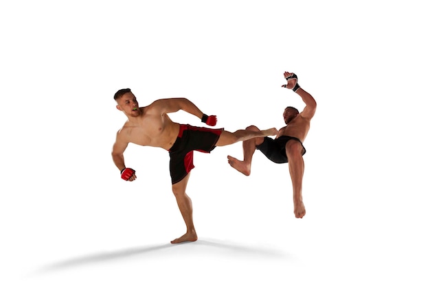 MMA fighters on white background