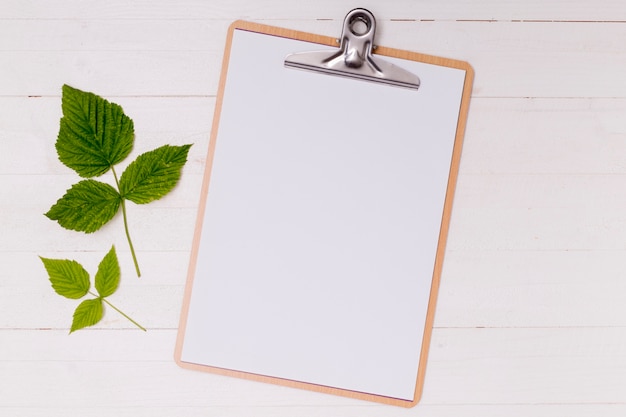 Mock-up clipboard with green leaves